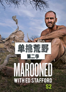 单挑荒野第二季封面图