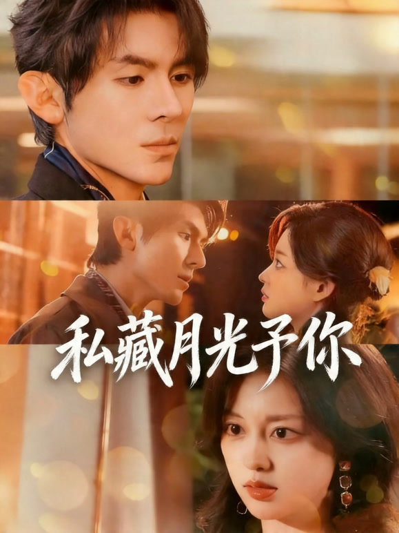 私藏月光予你封面图