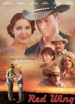 隐形红翼封面图