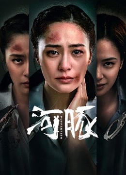 河豚封面图