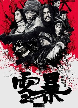 雪暴封面图