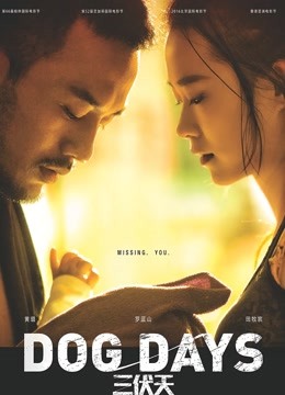 三伏天封面图