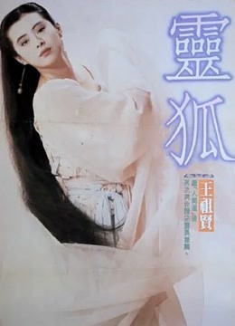 灵狐封面图