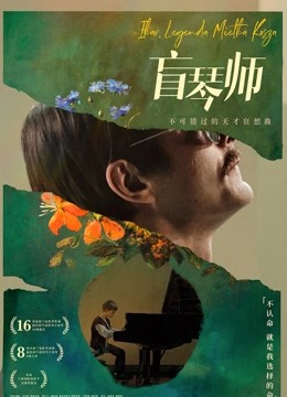 盲琴师封面图