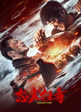 怒火扫毒封面图