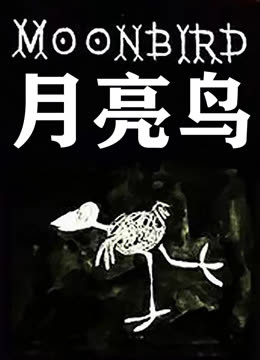 月亮鸟封面图