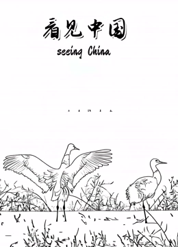 看见中国封面图