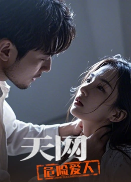 天网：危险爱人封面图