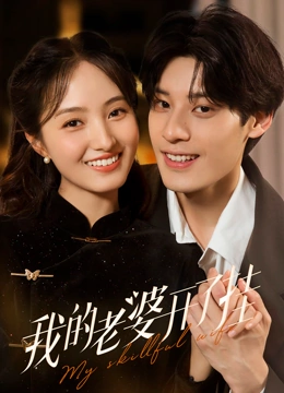 我的老婆开了挂封面图