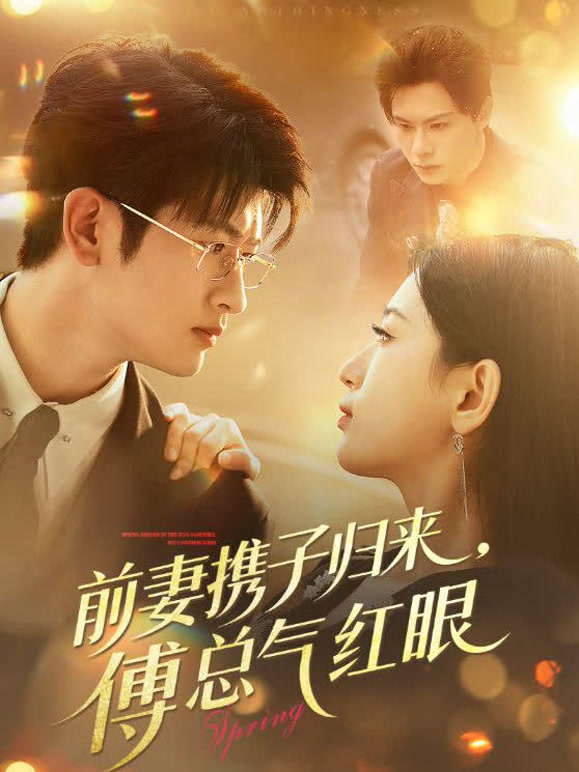 前妻携子归来傅总气红眼封面图