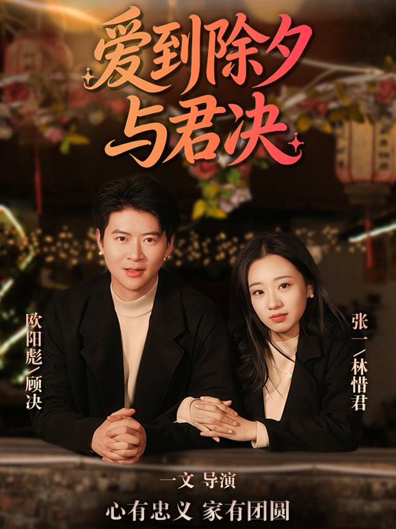 爱到除夕与君决封面图