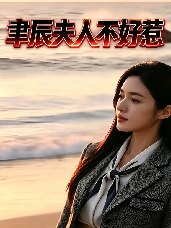 聿辰夫人不好惹封面图