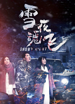 雪夜魂飞封面图