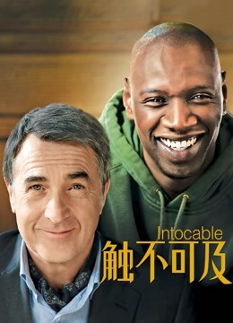 触不可及封面图