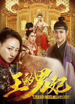 王的男妃封面图