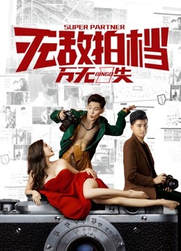 无敌拍档之万无一失封面图