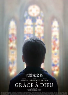 以恩宠之名封面图