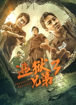 逃狱兄弟3粤语封面图