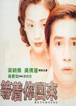 等着你回来封面图