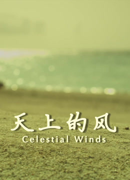 天上的风封面图