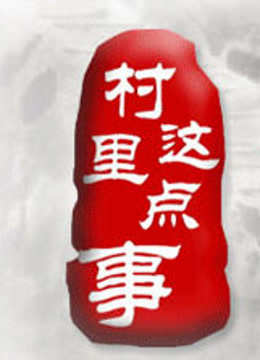 村里这点事封面图