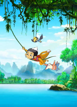 白头叶猴之嘉猴壮壮   森林使者封面图