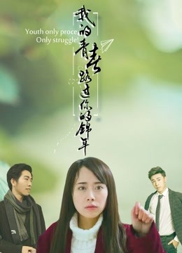 我的青春路过你的锦年封面图