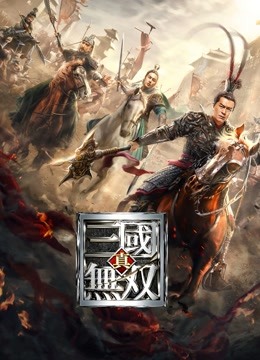 真:三国无双粤语封面图
