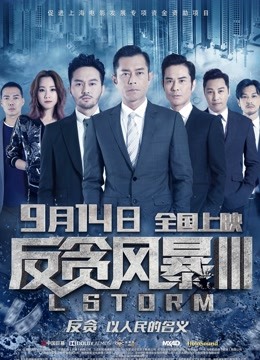 反贪风暴3粤语封面图