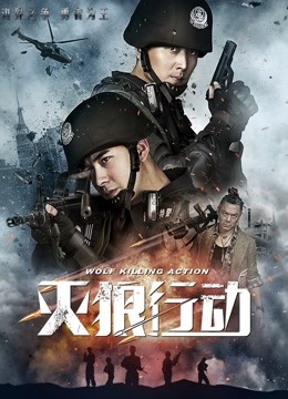 灭狼行动封面图