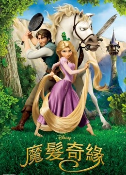 魔发奇缘封面图