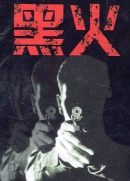 黑火封面图