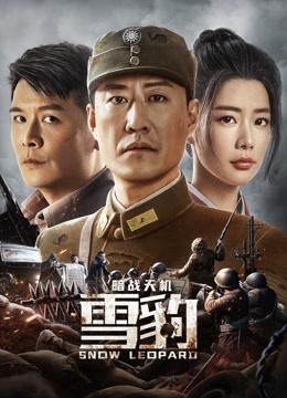 雪豹之暗战天机封面图