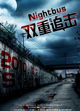 双重追击封面图