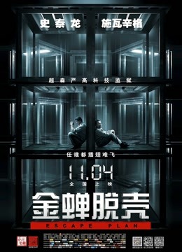 金蝉脱壳封面图
