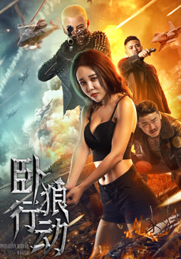 卧狼行动封面图