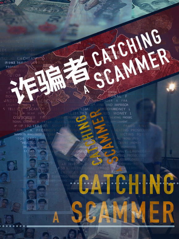 诈骗者封面图