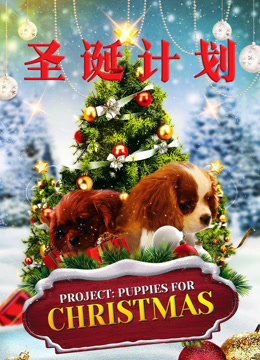 圣诞计划封面图