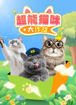 超能猫咪大作战封面图