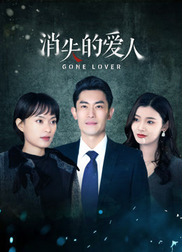 消失的爱人封面图