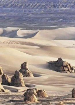 沙漠考古 第一季封面图