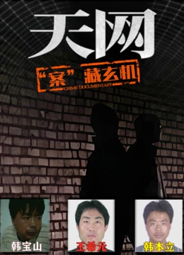 天网：“案”藏玄机封面图