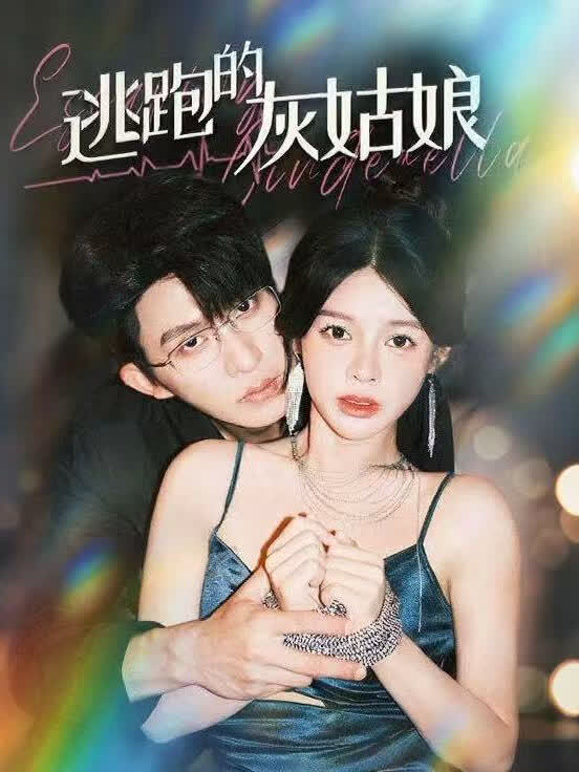 逃跑的灰姑娘封面图