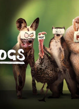 废柴英雄 中文版封面图