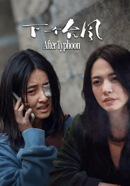 下一个台风封面图