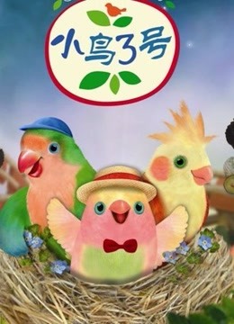 小鸟3号封面图
