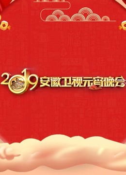 2019安徽卫视元宵晚会封面图