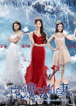 我的魔法仙妻封面图