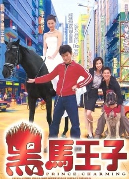 黑马王子粤语封面图
