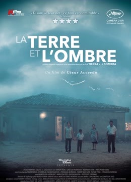 大地与阴影封面图